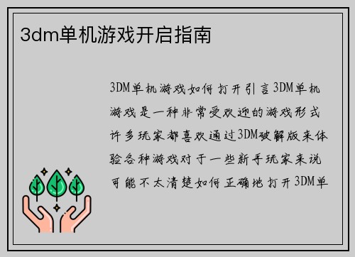 3dm单机游戏开启指南
